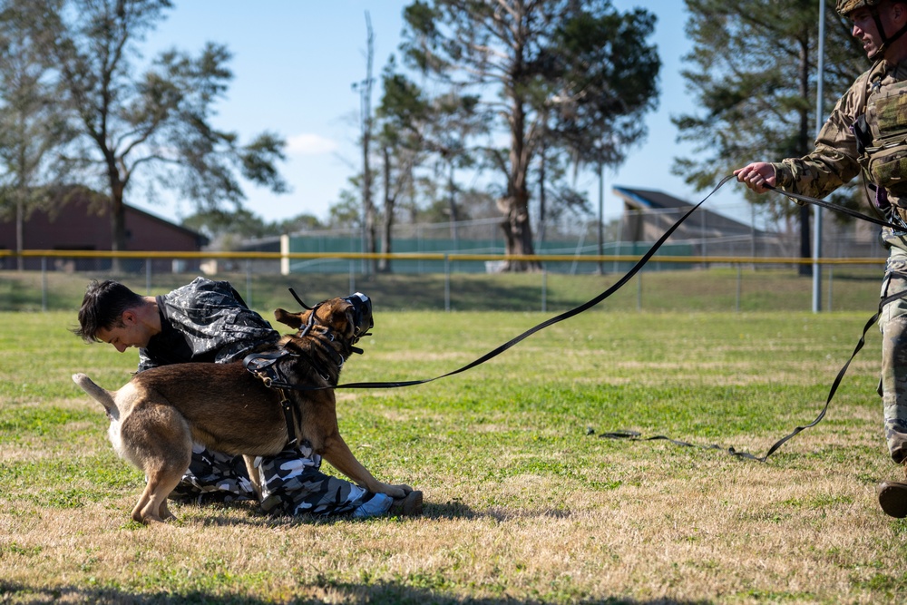 820 BDG Military Working Dog Training