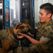 U.S. Marines Conduct Follow-Up Training with Military Working Dogs at Quantico