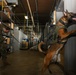 U.S. Marines Conduct Follow-Up Training with Military Working Dogs at Quantico