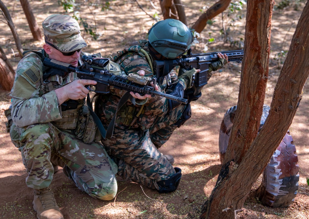 U.S. and Indian Armies complete joint training at Tiger TRIUMPH 2025
