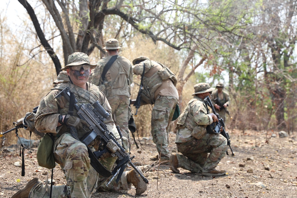 Hanuman Guardian 25: Soldiers Conduct Movement to Contact Training