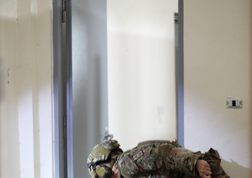 US Army Soldiers and Military Working Dogs Perform Explosive Ordnance Disposal Training during Hanuman Guardian 25