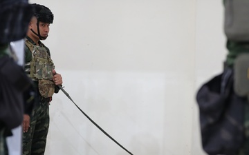 US Army Soldiers and Military Working Dogs Perform Explosive Ordnance Disposal Training during Hanuman Guardian 25