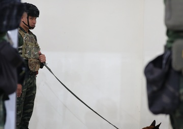 US Army Soldiers and Military Working Dogs Perform Explosive Ordnance Disposal Training during Hanuman Guardian 25