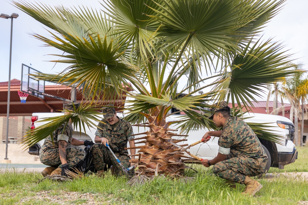 HQSPTBN Marines participate in OCS II