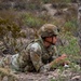 U.S. Soldiers conduct a squad level reconnaissance patrol along the southern border
