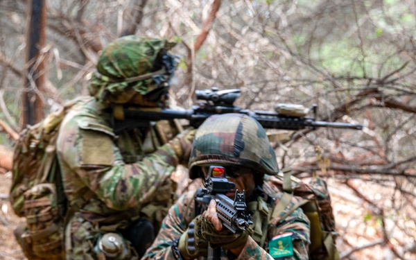 U.S. and Indian Armies strengthen alliances during Tiger Triumph