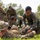 MRF-D 25.3: U.S. Marines, Armed Forces of the Philippines conduct tactical combat casualty care during MAREX 25 MRF-D 25.3: U.S. Marines, Armed Forces of the Philippines conduct tactical combat casualty care during MAREX 25
