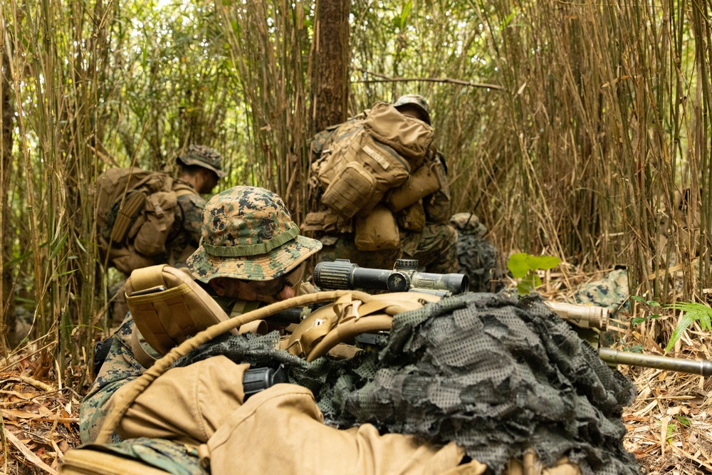 3d Marine Division Rifle Squad Competition