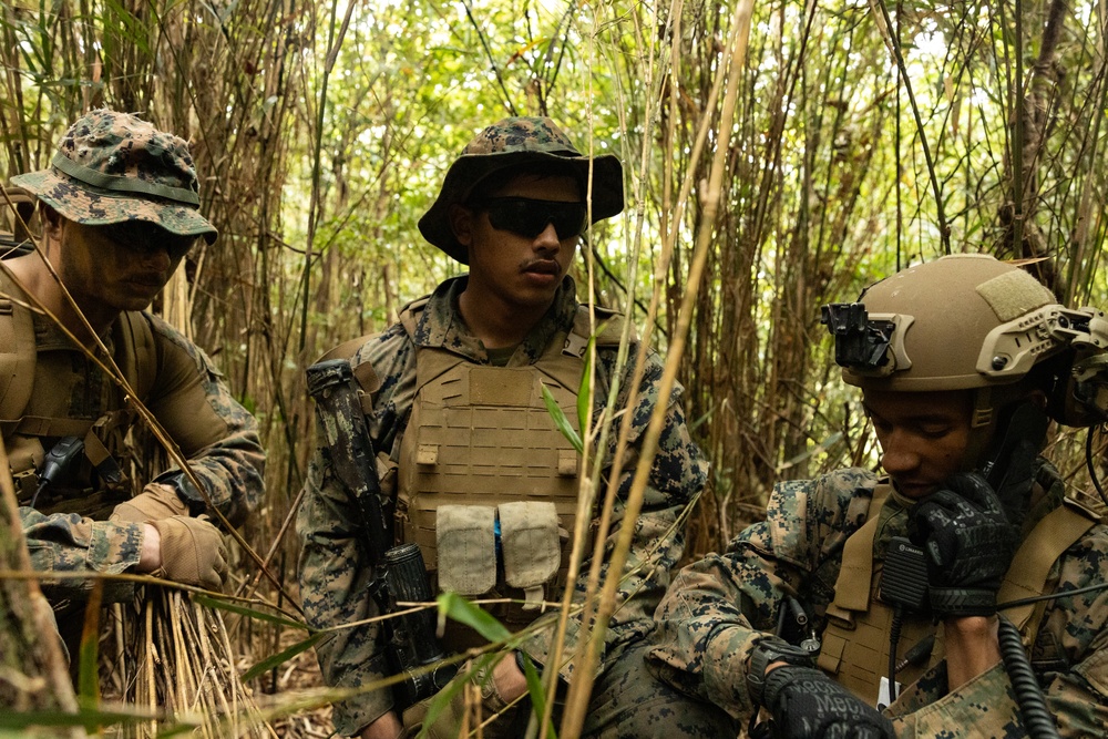 3d Marine Division Rifle Squad Competition