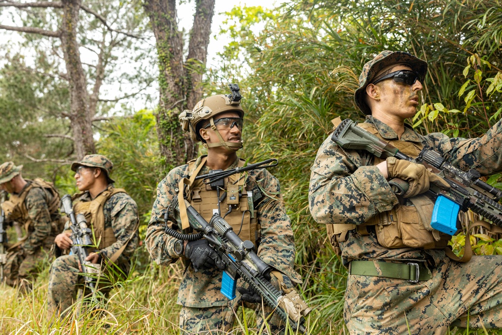 3d Marine Division Rifle Squad Competition