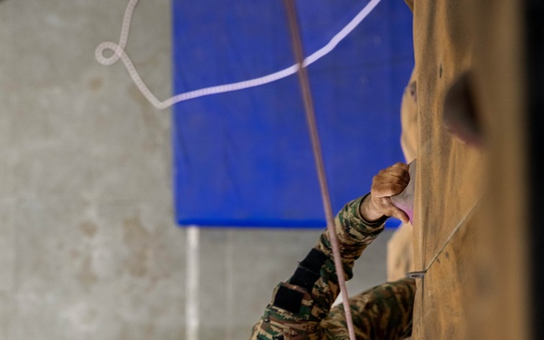 U.S. and Indian Soldiers climb rock wall during Tiger Triumph