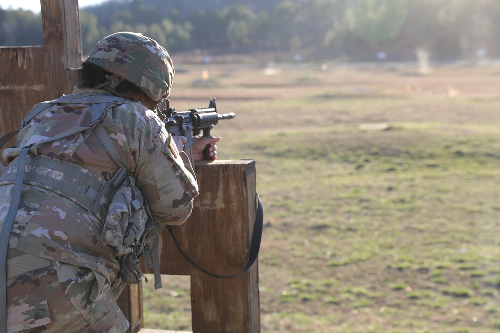 167th Theater Sustainment Command Individual Weapons Qualification (IWQ)