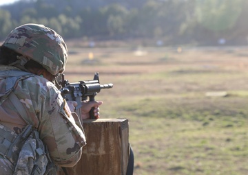 167th Theater Sustainment Command Individual Weapons Qualification (IWQ)
