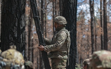 819th Engineer &quot;Sapper&quot; Company Abatis Training
