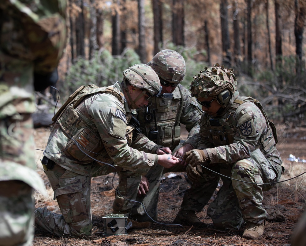 The 819th Engineering Company Abatis