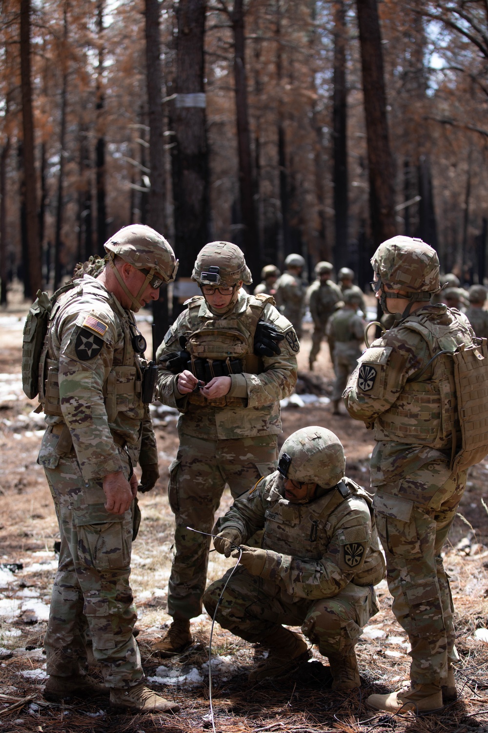 The 819th Engineering Company Abatis