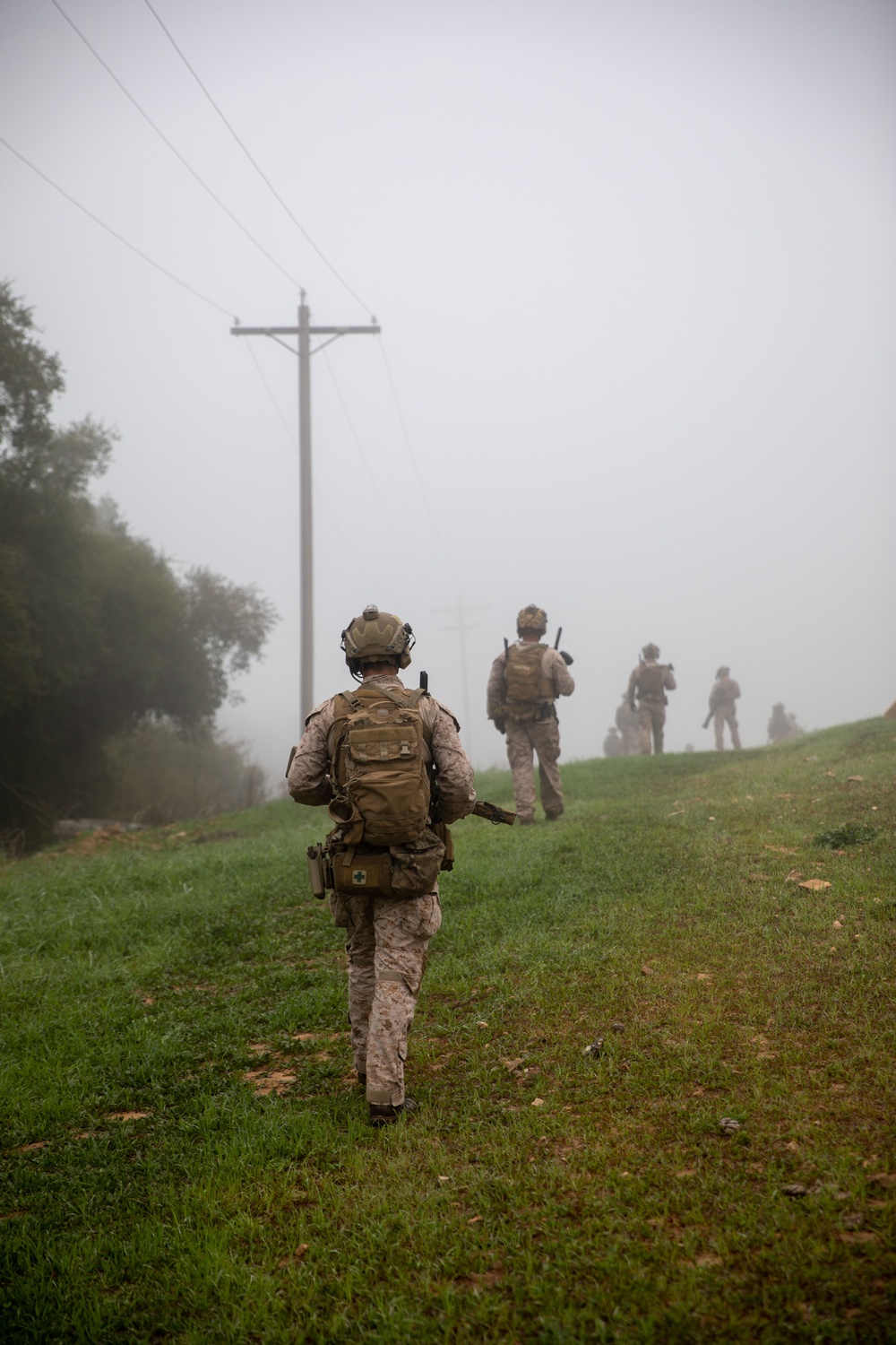 Marines conduct live-fire, maneuver training