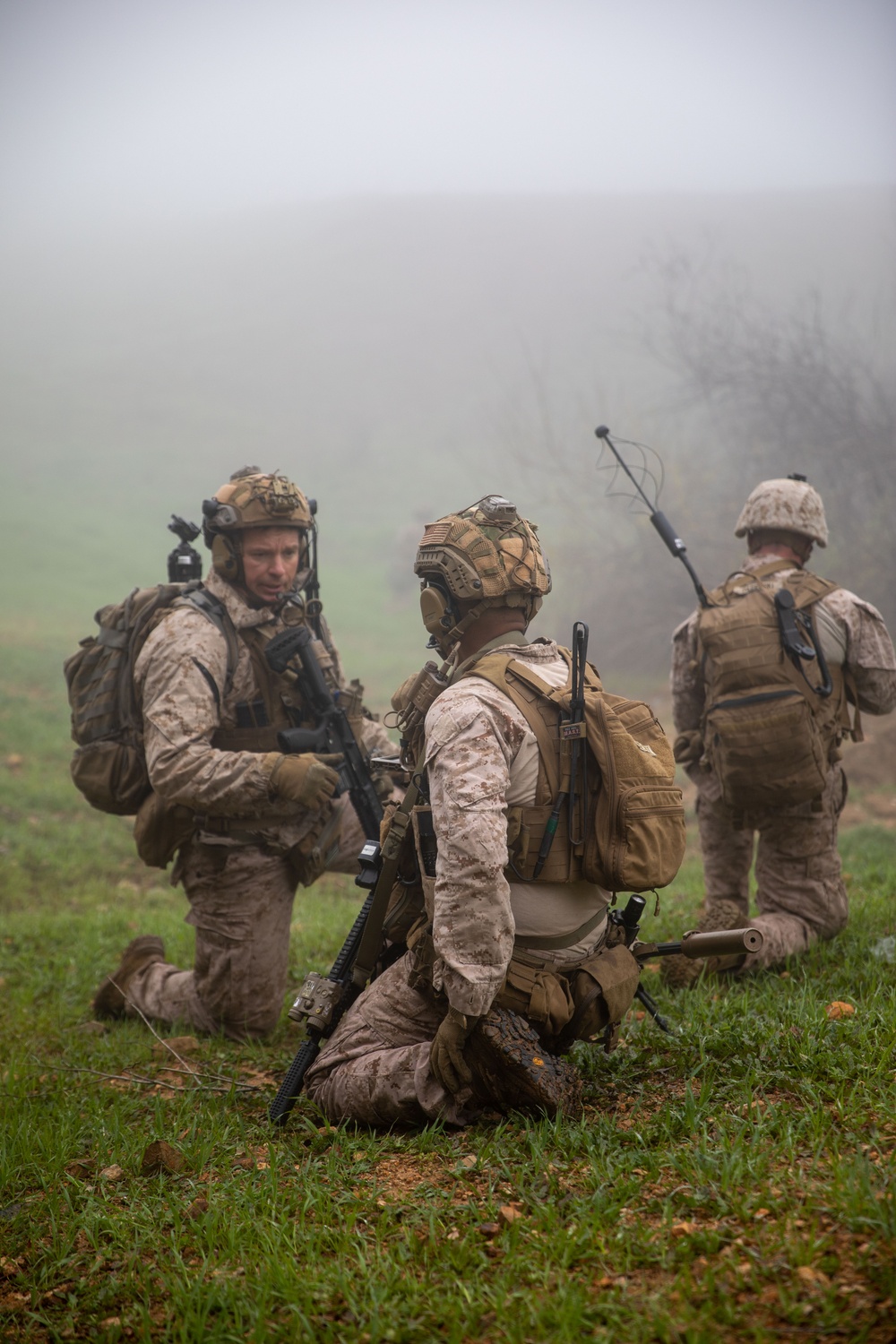 Marines conduct live-fire, maneuver training