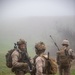 Marines conduct live-fire, maneuver training
