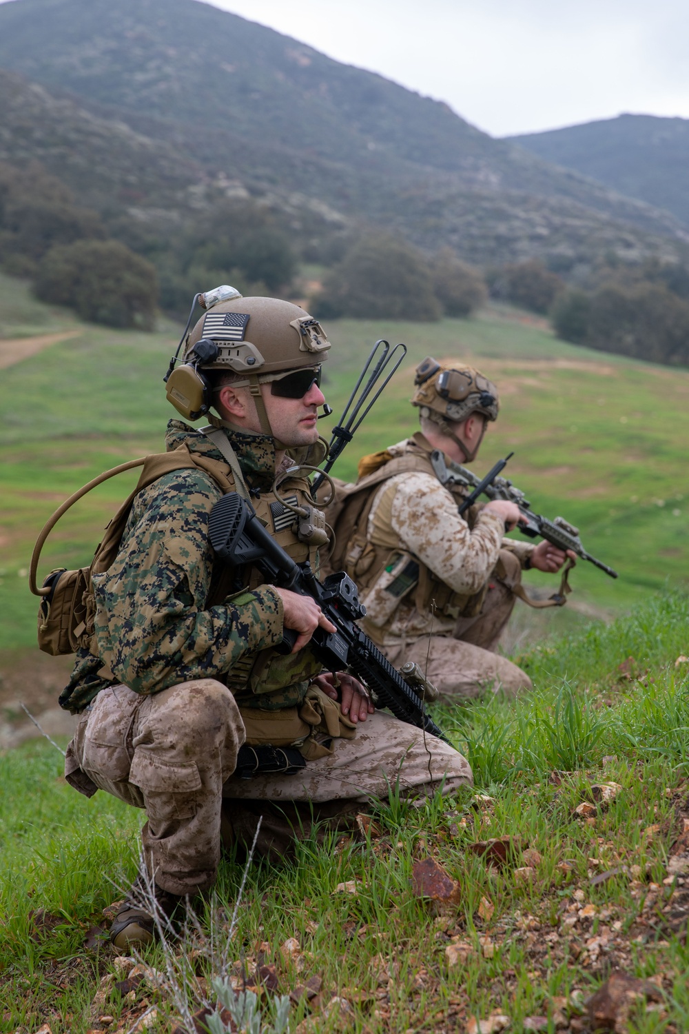 Marines conduct live-fire, maneuver training