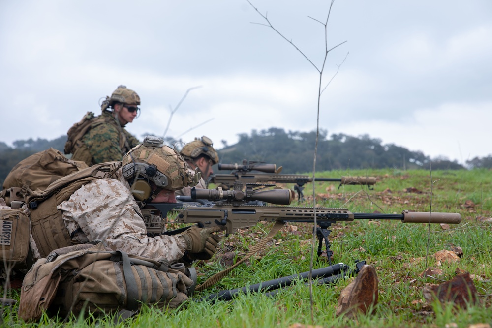 Marines conduct live-fire, maneuver training