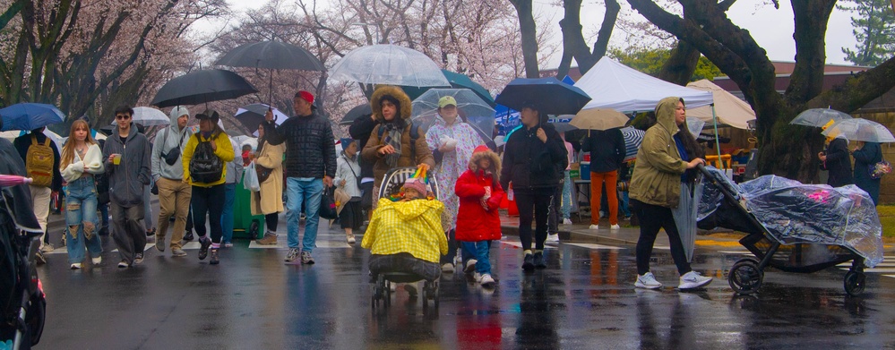 U.S., Japan friendship flourishes during Sakura Spring Festival 2025