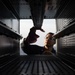 Fire Controlmen onboard USS Iwo Jima perform maintenance on NATO Sea Sparrow