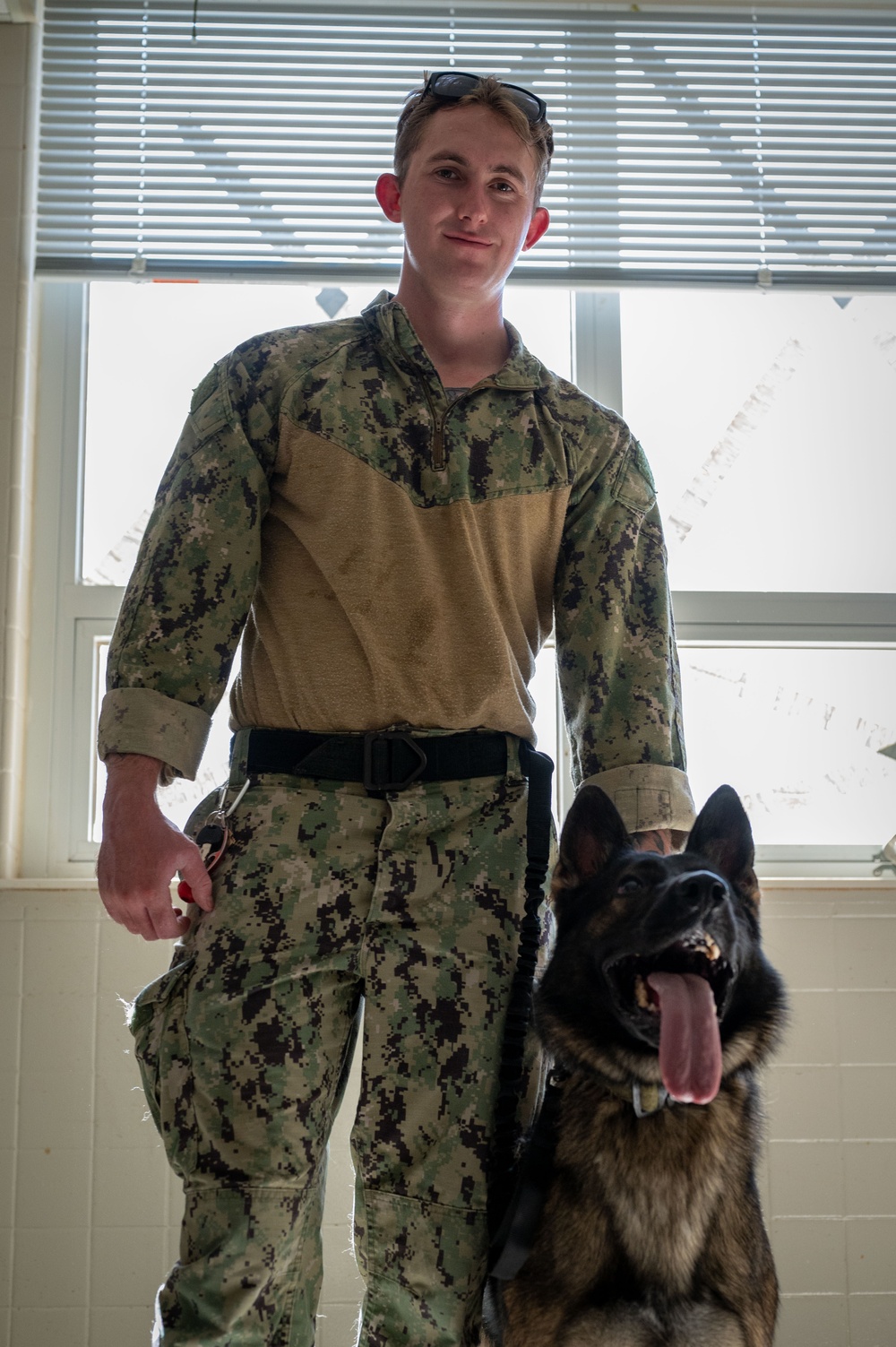 Bravo Company Marines train with military working dog to enhance readiness
