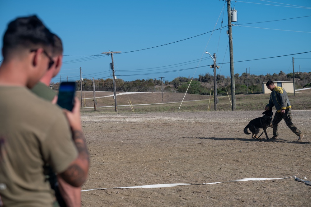 Bravo Company Marines train with military working dog to enhance readiness