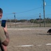 Bravo Company Marines train with military working dog to enhance readiness