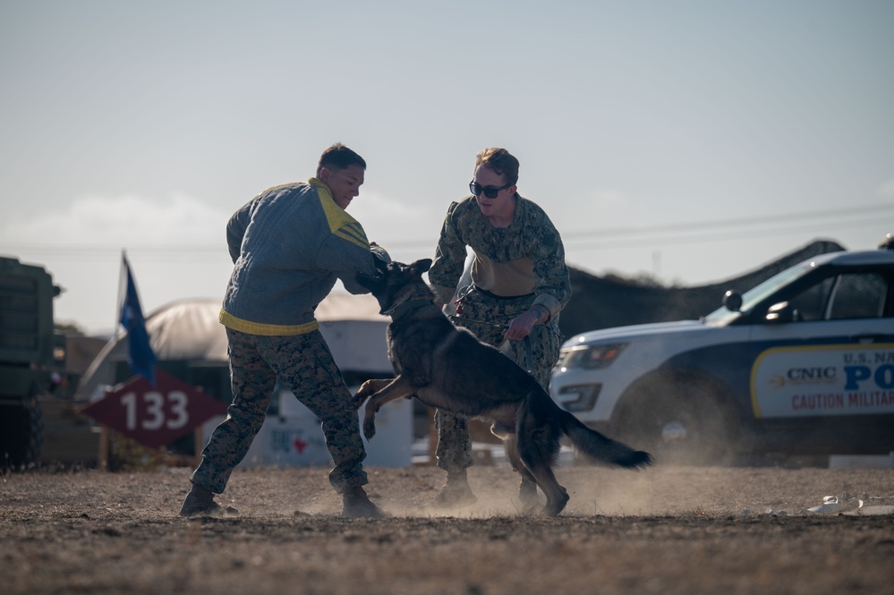 Bravo Company Marines train with military working dog to enhance readiness