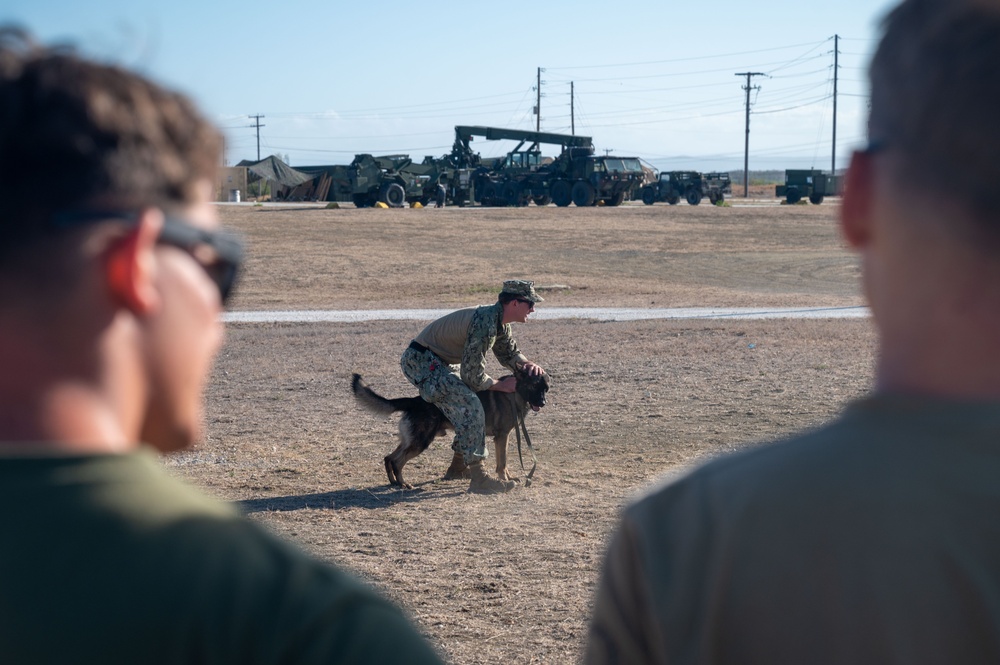 Bravo Company Marines train with military working dog to enhance readiness