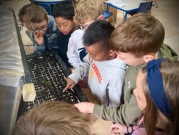 Hands-On Math Project Cultivates Problem-Solving Skills in DoDEA Elementary Students