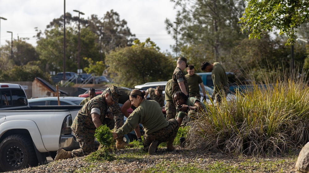 Headquarters and Service Battalion Operation Clean Sweep