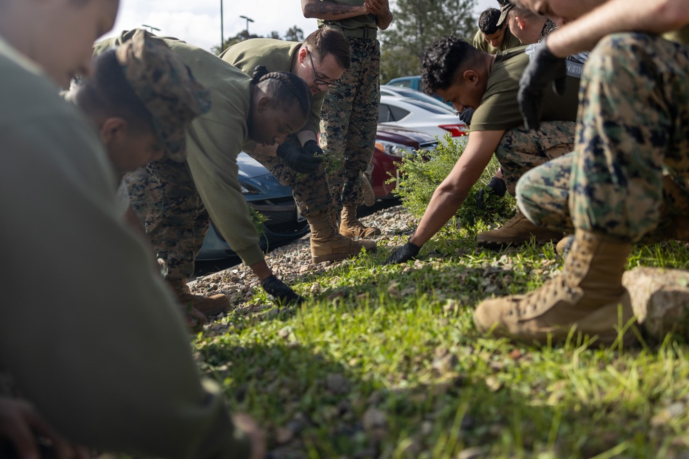 Headquarters and Service Battalion Operation Clean Sweep