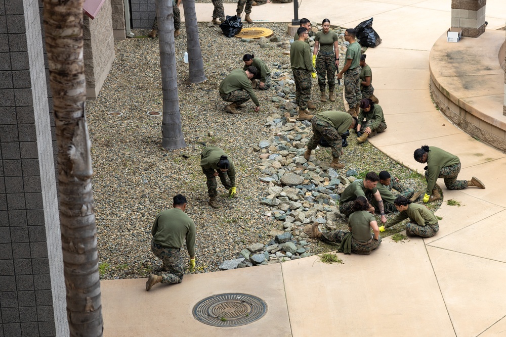 Headquarters and Service Battalion Operation Clean Sweep