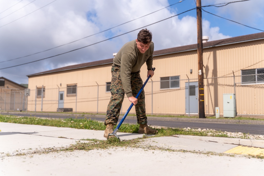 U.S. Marines take part in Operation Clean Sweep II