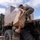 U.S. Marines take part in Operation Clean Sweep II