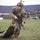 Pa. State Best Warrior Competition 2025