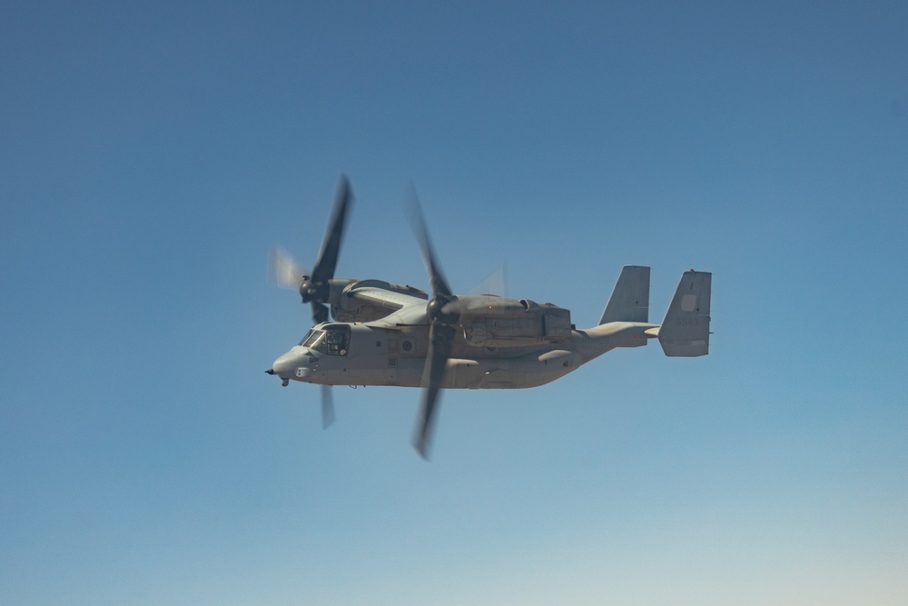 WTI 2-25: MV-22B Day Tactics