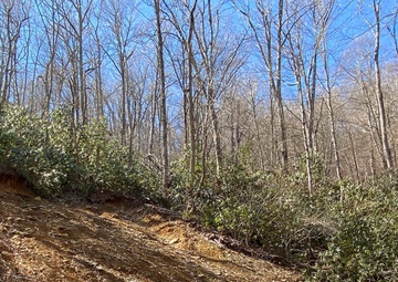 Pittsburgh geologist supports rapid response task force to assess landslides after Hurricane Helene