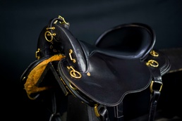 Giddy Up, The U.S. Army's Caisson Has A New Saddle