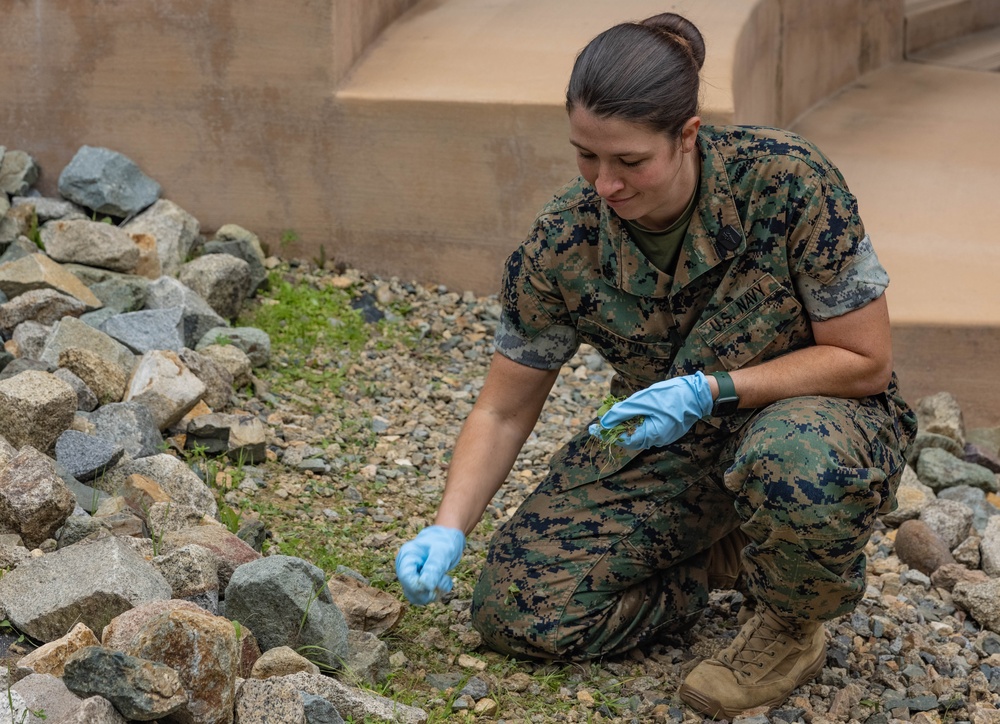 Headquarters and Service Battalion Operation Clean Sweep