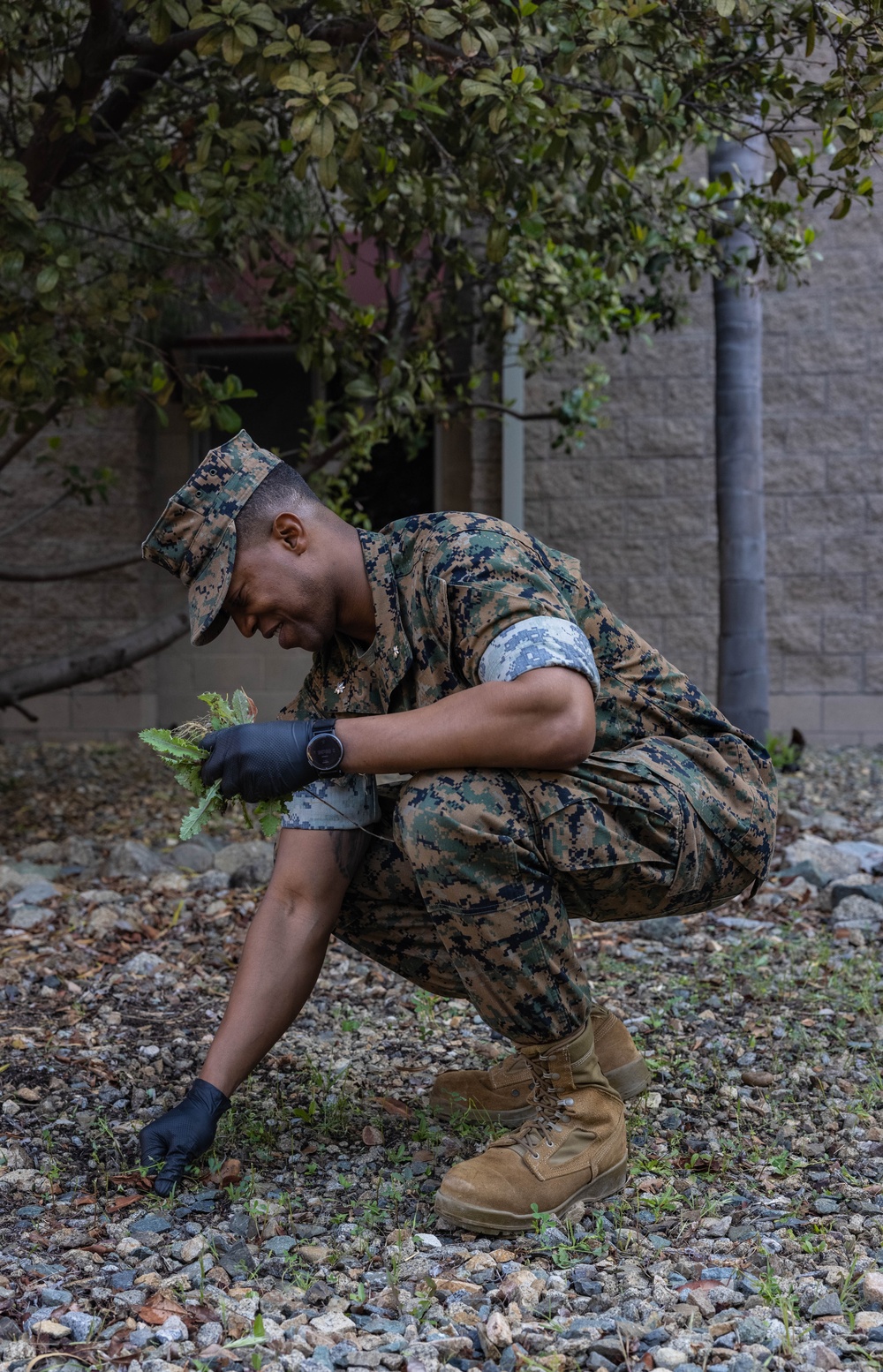 Headquarters and Service Battalion Operation Clean Sweep