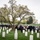 Rededication Ceremony for U.S. Army Pvt. David Moser and Pfc. Adolph Hanf Gravesites