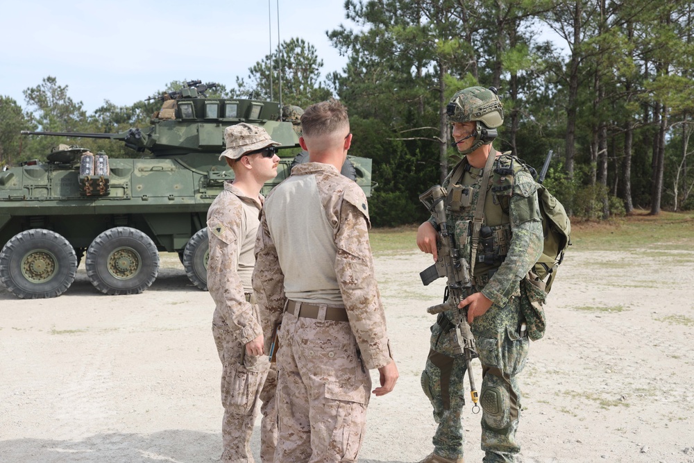 Dutch Marines Conduct Final Exercise of Caribbean Urban Warrior