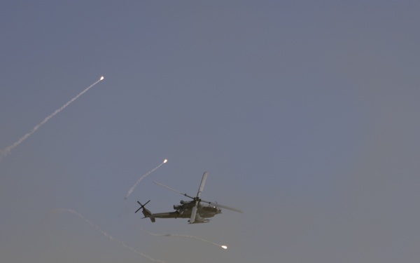 WTI 2-25: 2/5 Conducts Close Air Support Exercise
