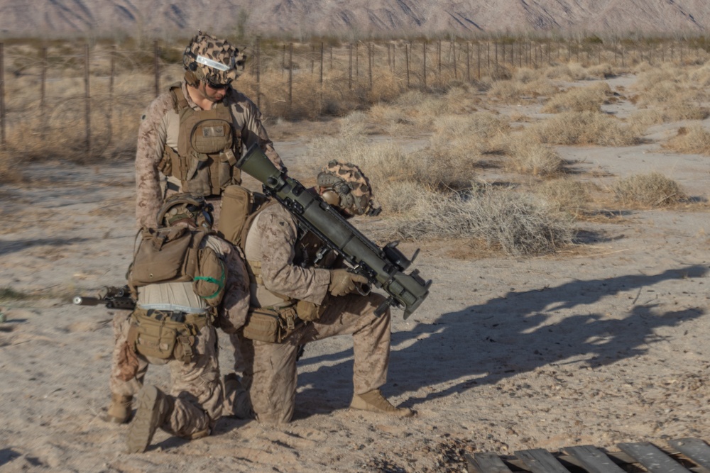 WTI 2-25: 2/5 Conducts Close Air Support Exercise