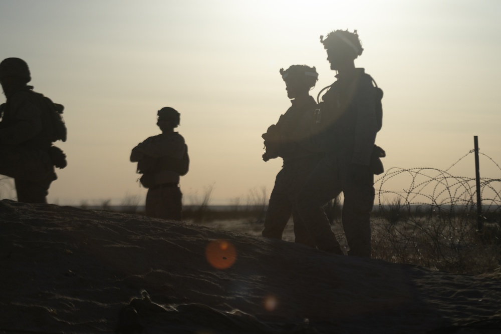 WTI 2-25: 2/5 Conducts Close Air Support Exercise